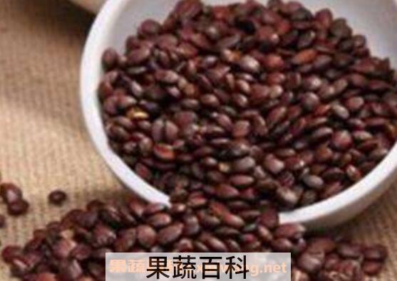 炒酸枣仁的功效与作用及药用价值