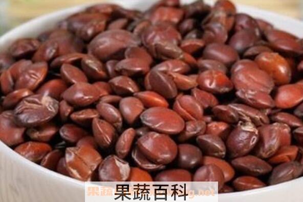 炒酸枣仁的功效与作用及药用价值