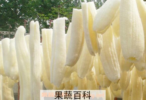 丝瓜络的功效与作用 丝瓜络的药用价值