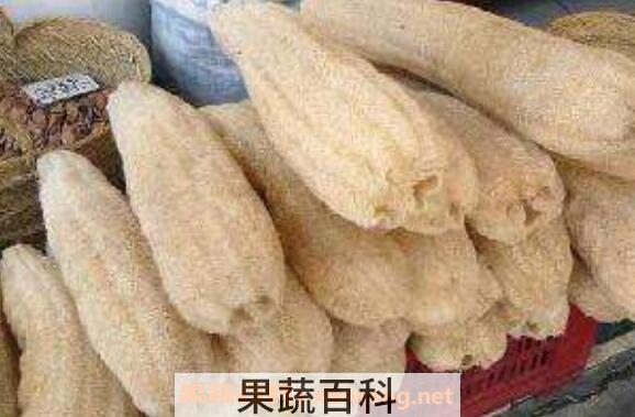 丝瓜络的功效与作用 丝瓜络的药用价值