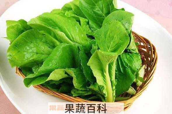 小白菜怎么吃 小白菜的功效与作用
