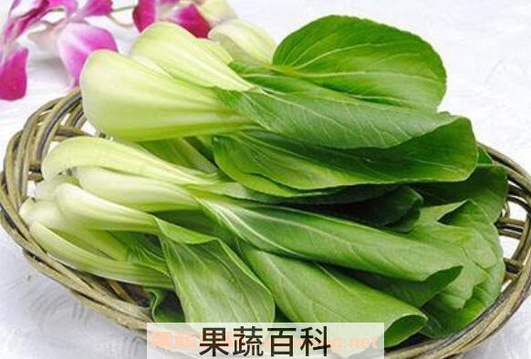 小白菜怎么吃 小白菜的功效与作用