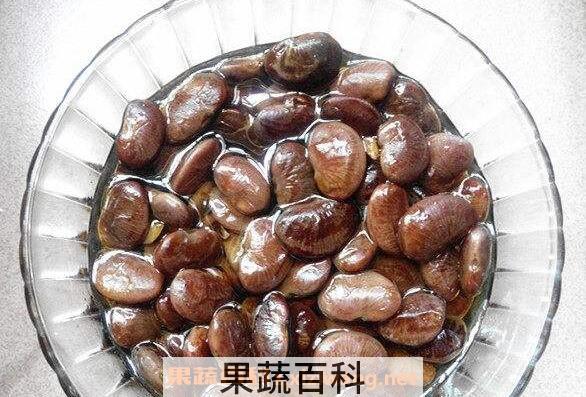 黑肾豆的功效与作用