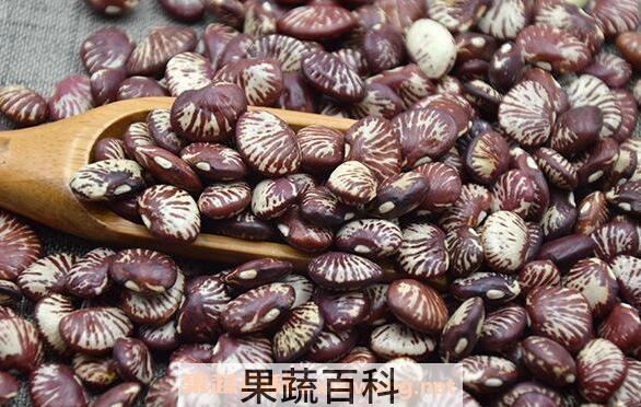 黑肾豆的功效与作用