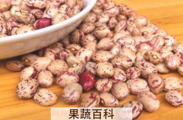 云南肾豆的功效与作用