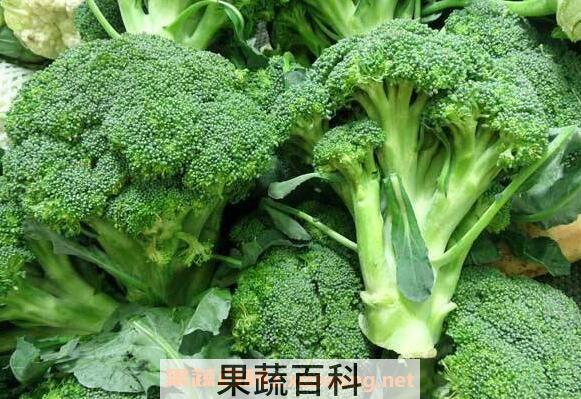 西兰花的功效与作用 吃西兰花的好处