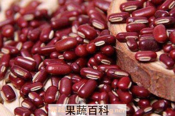 赤小豆的功效与作用 赤小豆怎么煮容易烂