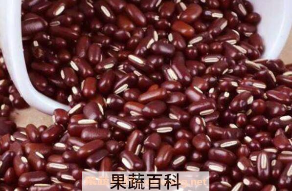 赤小豆的功效与作用 赤小豆怎么煮容易烂