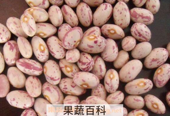 肾豆怎么吃 肾豆不能与什么一起吃
