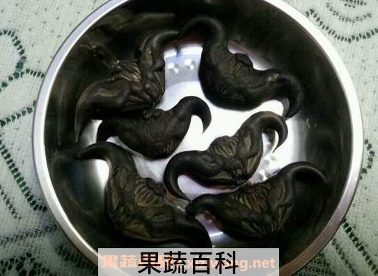菱角怎么煮好吃 水煮菱角怎么做
