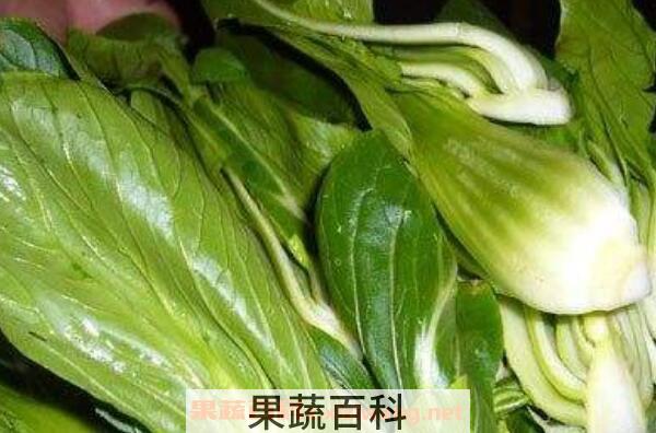 上海青怎么吃 上海青的功效与作用