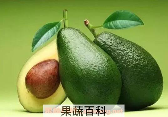 高蛋白质的水果有哪些 蛋白质含量高的水果介绍