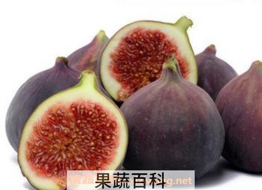 高蛋白质的水果有哪些 蛋白质含量高的水果介绍