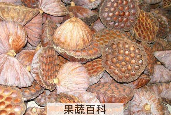 莲蓬壳的功效与作用及药用价值