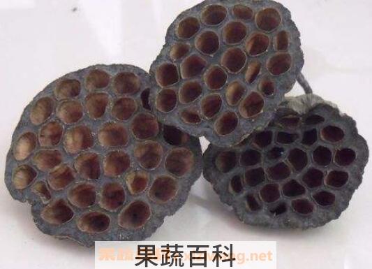 莲蓬壳的功效与作用及药用价值
