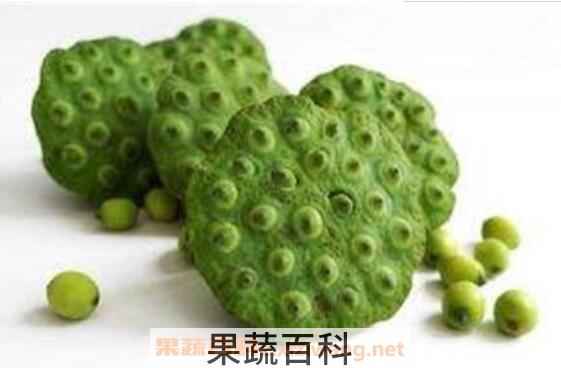 莲蓬怎么吃 新鲜莲子怎么吃比较好