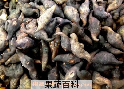 菱角的功效与作用 菱角怎么剥壳