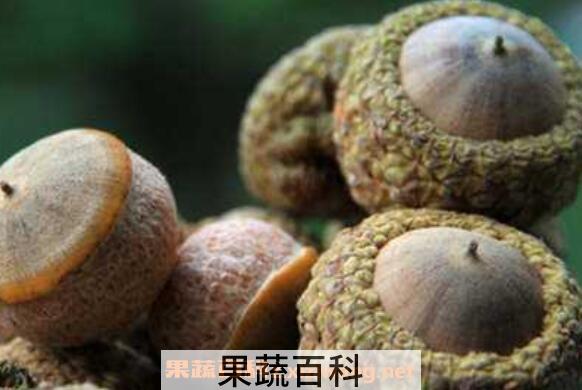 印度黑肾果的功效和作用