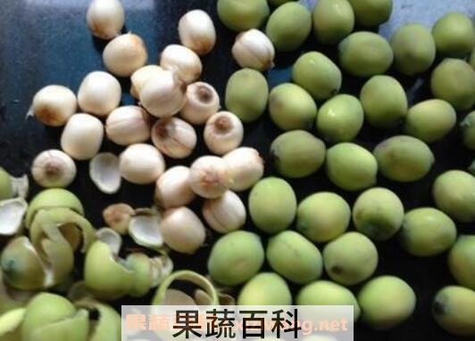 新鲜莲子的功效与作用