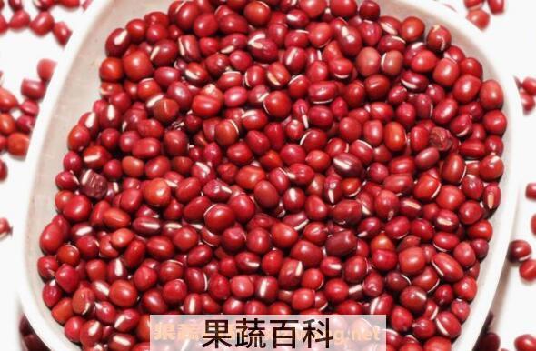 红小豆的功效与作用 吃红小豆的好处