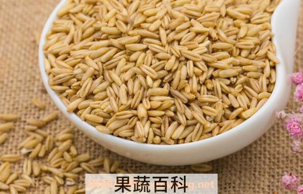 野燕麦的功效与作用 野燕麦能补肾吗