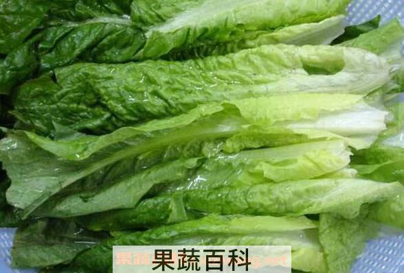 莴笋叶可以吃吗 莴笋叶怎么吃
