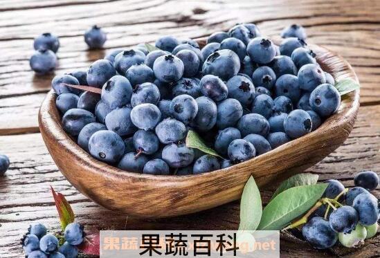 蓝莓怎么吃 蓝莓的正确吃法