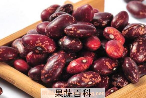 白芸豆和红芸豆的区别 芸豆怎么吃最好
