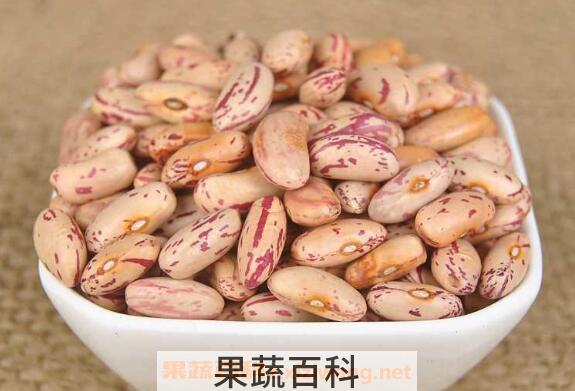 白芸豆和红芸豆的区别 芸豆怎么吃最好
