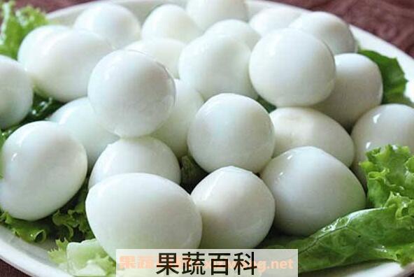 鹌鹑蛋的功效与作用 鹌鹑蛋的营养价值