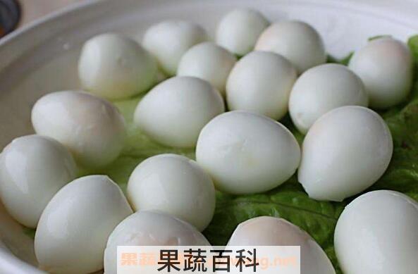 鹌鹑蛋的功效与作用 鹌鹑蛋的营养价值