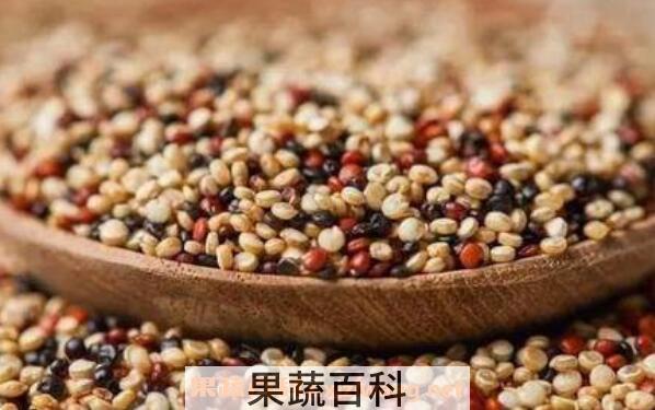 藜麦的营养价值及功效