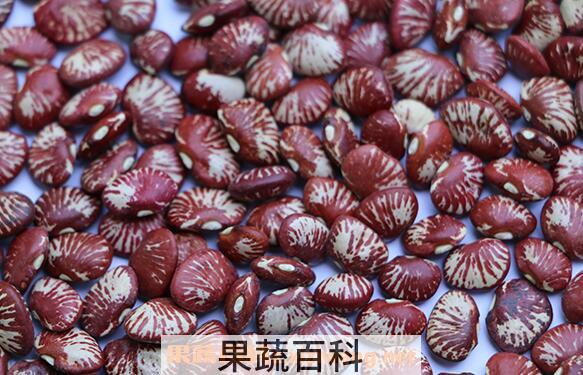斑马豆的功效与作用
