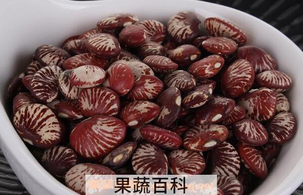 斑马豆的功效与作用