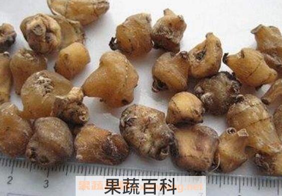 山慈菇的功效与作用及食用方法