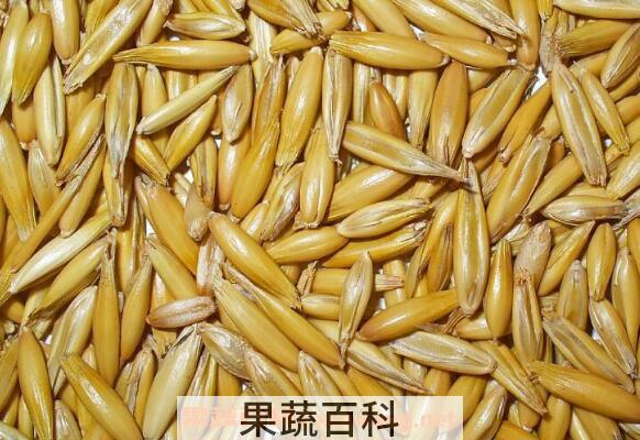 皮燕麦与裸燕麦的区别 裸燕麦和皮燕麦哪个好