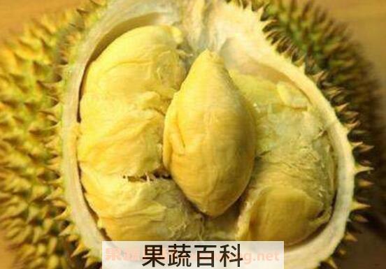 榴莲怎么吃 榴莲的正确吃法技巧