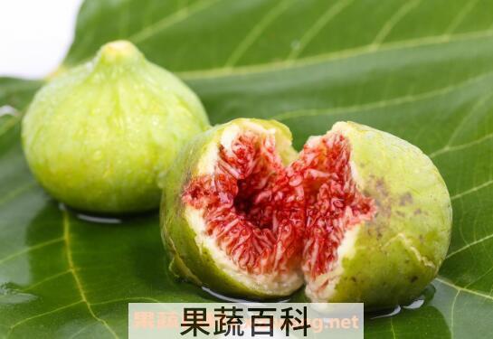 无花果怎么吃 无花果的吃法技巧