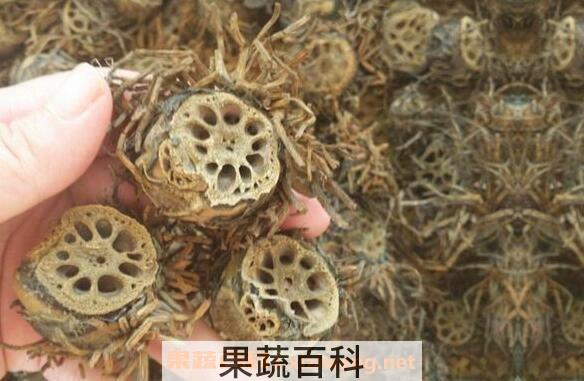 藕节煮水的功效与作用