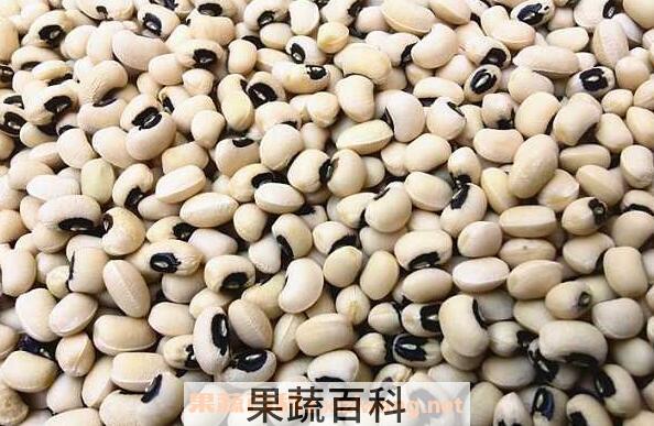  眉豆的功效与作用