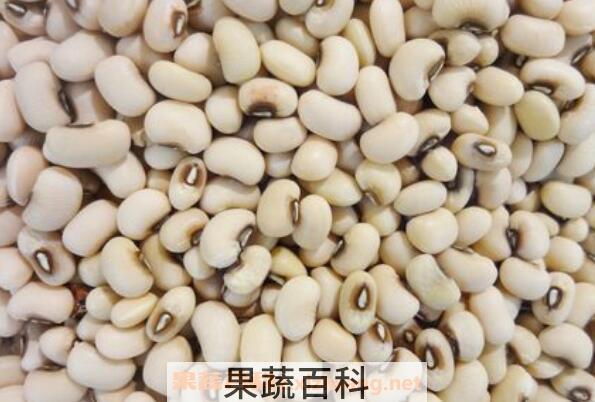  眉豆的功效与作用