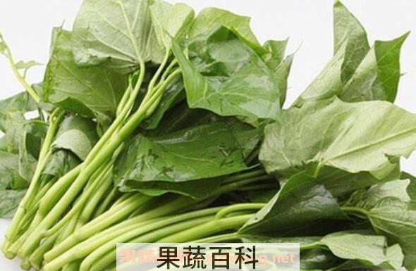 番薯叶的功效与作用