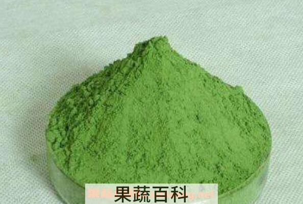 苜蓿粉的功效与作用