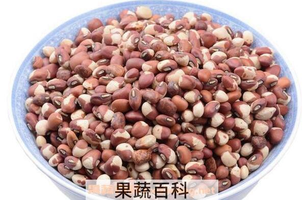 江豆的功效与作用及禁忌