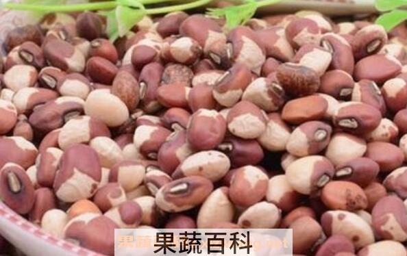 江豆的功效与作用及禁忌