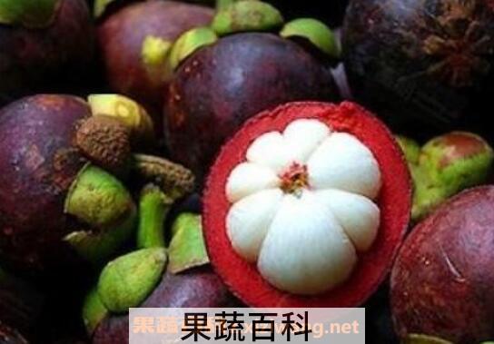 山竹怎么吃 山竹的食用方法大全