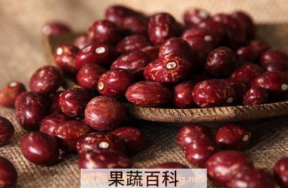 金丝豆的功效与作用