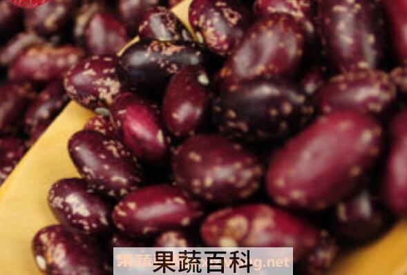 金丝豆的功效与作用