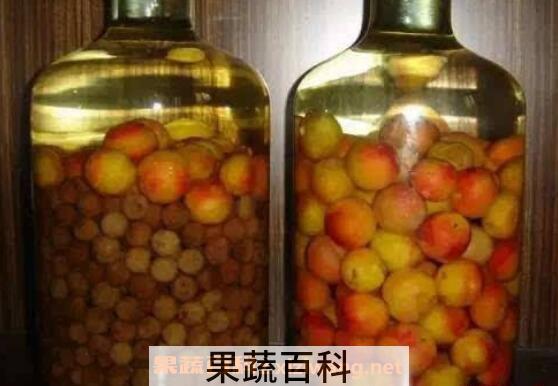 李子酒怎么做 李子酒的酿制方法