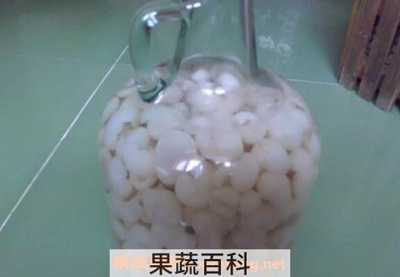 龙眼酒怎么做 龙眼酒的酿制方法